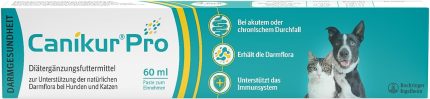 Canikur Pro Paste Syringe - 60ml, clear